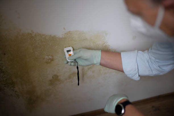 District Heights, MD Mold Remediation Company