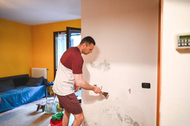 Reliable District Heights, MD Mold Remediation Solutions